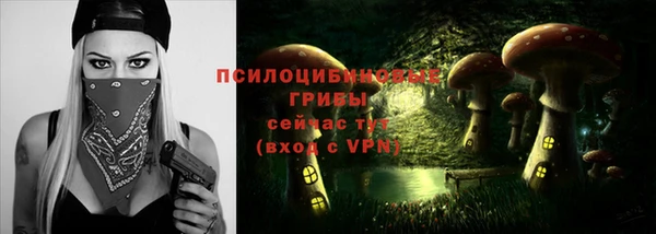 прущие крисы Алзамай