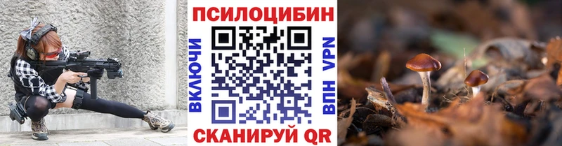 как найти закладки Приморск Галлюциногенные грибы GOLDEN TEACHER