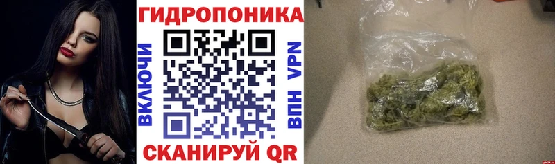 купить наркоту  Приморск  Бошки Шишки Amnesia 